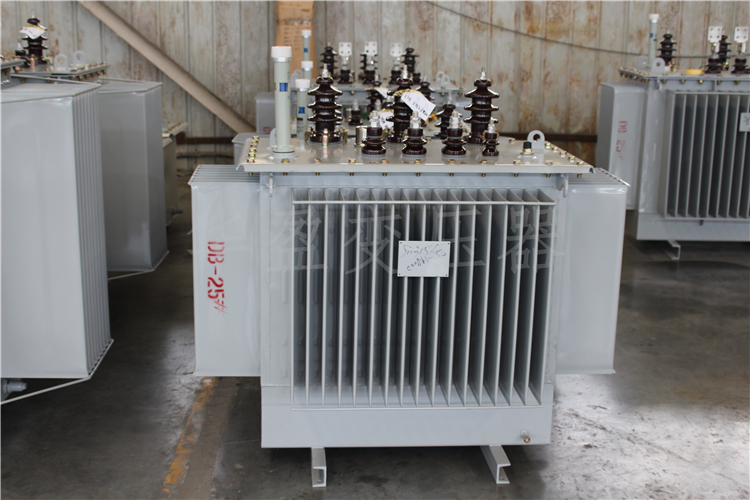 天水S20-800kVA/10kV/0.4kV变压器